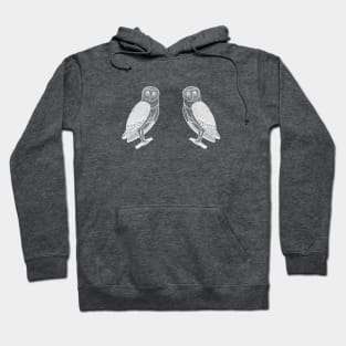 Barn Owls in Love - hand drawn detailed owl design Hoodie